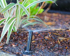 Commercial Irrigation