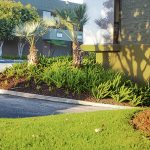 Commercial Landscaping 3